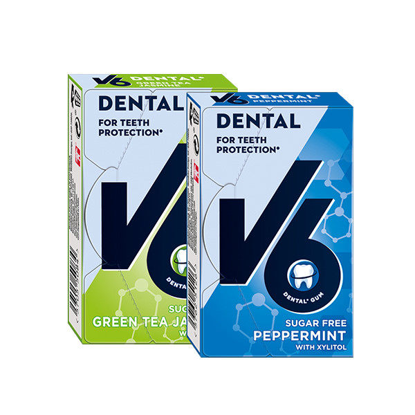 2x V6 24g